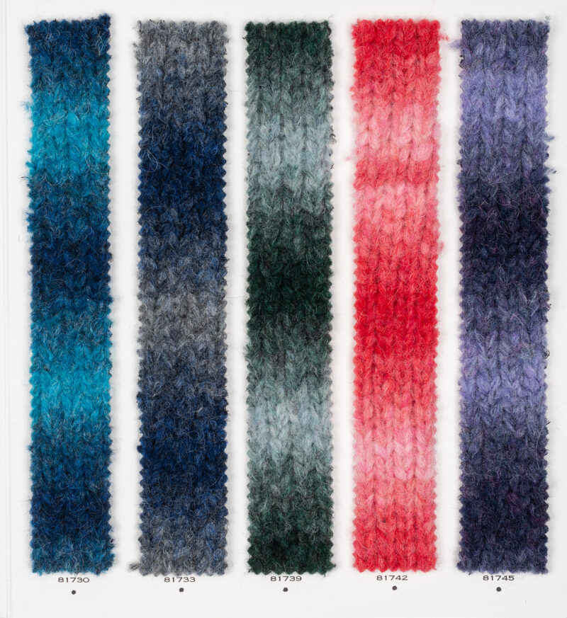 Vision Color