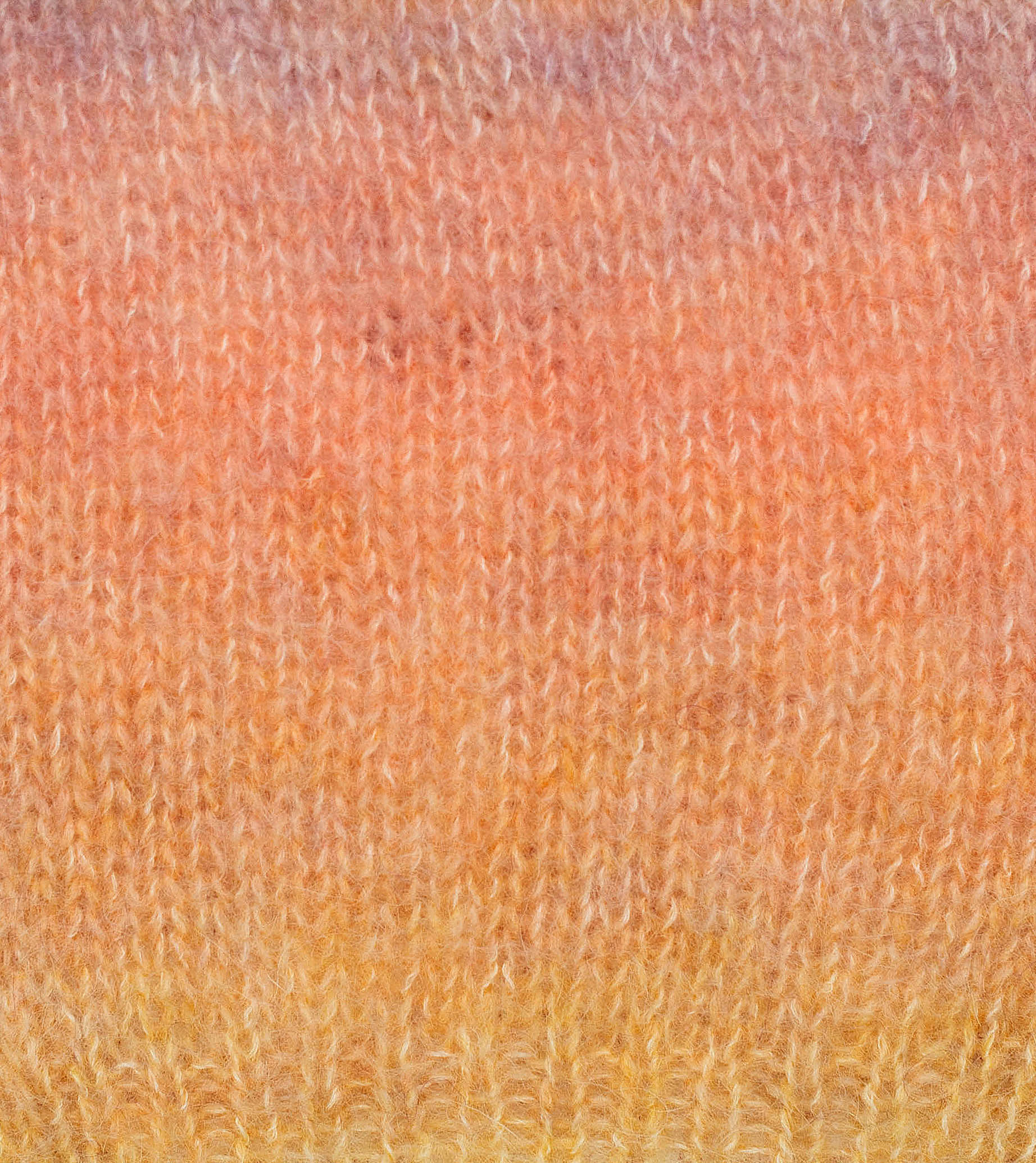 Matisse Color